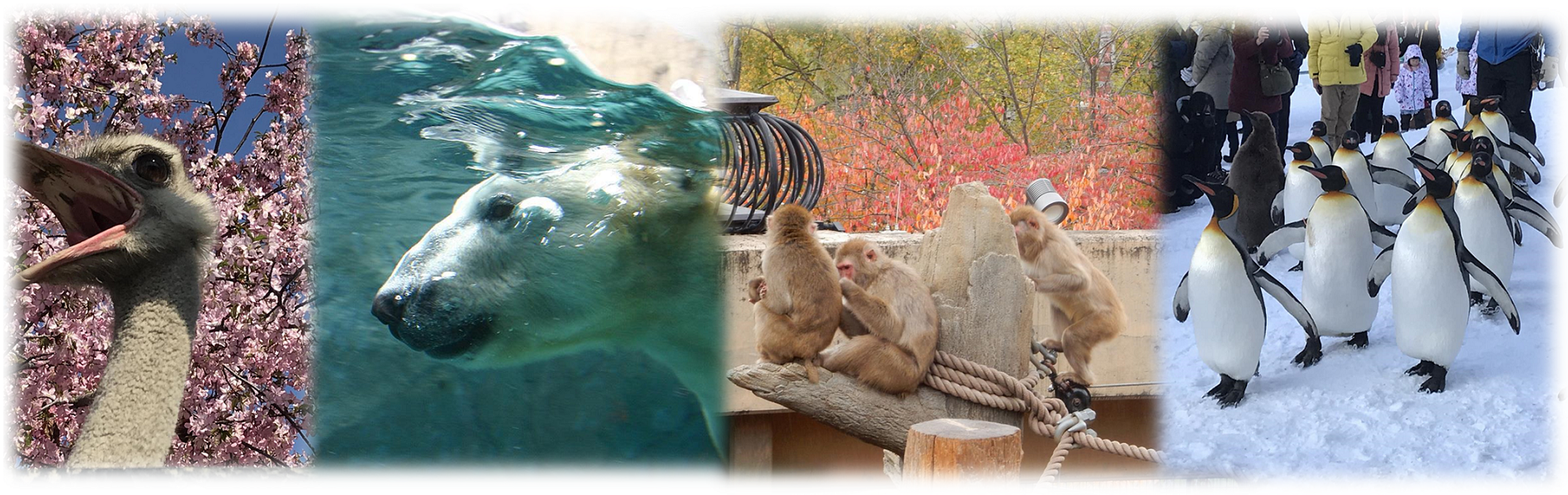 旭川動物園
